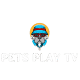 Pets Play TV